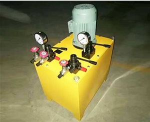 广西非标电动泵生产