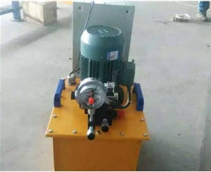 广西标准电动泵供应生产